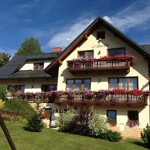 Apartment Aneta