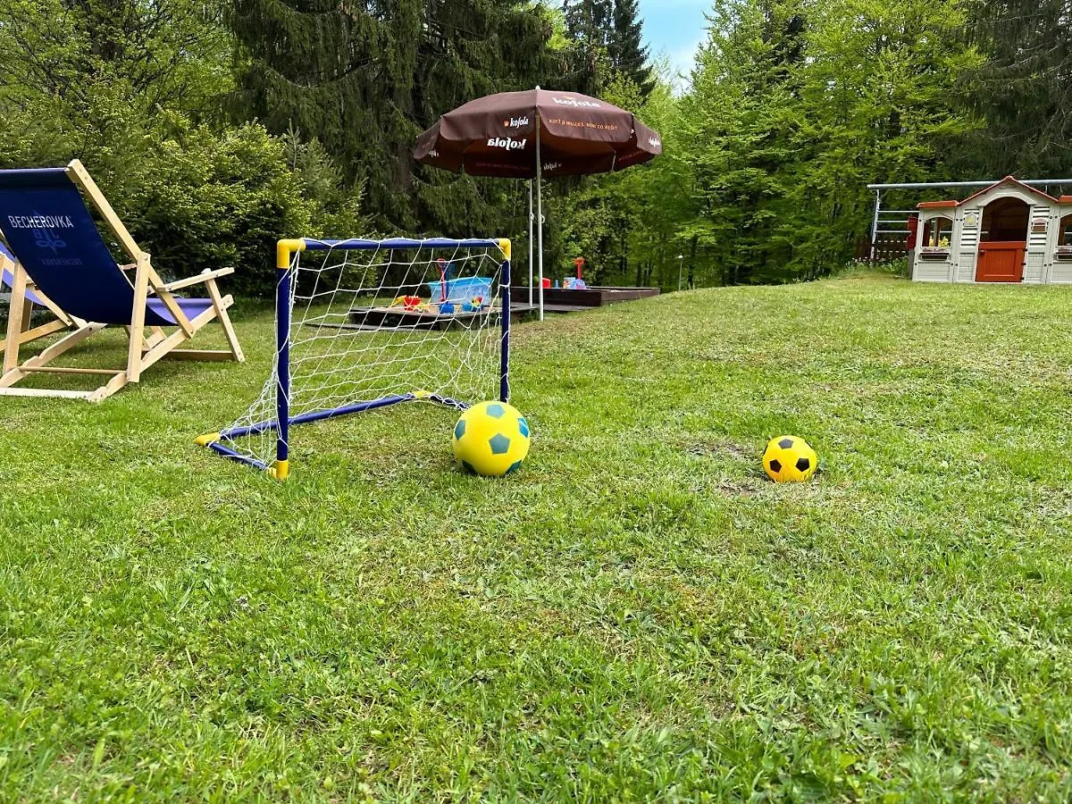 Interhotel Montana Špindlerŭv Mlýn