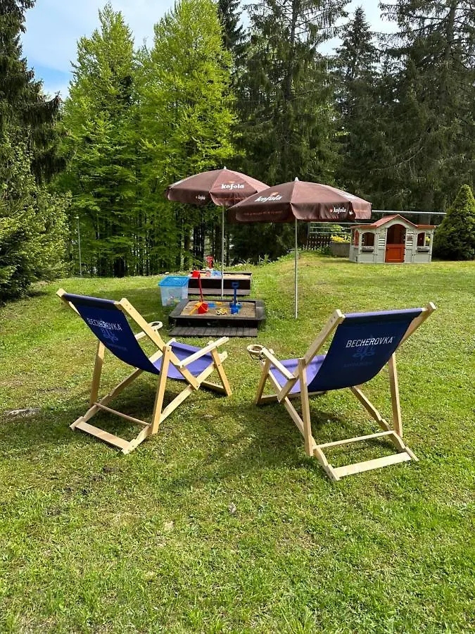 Interhotel Montana Špindlerŭv Mlýn 3*,